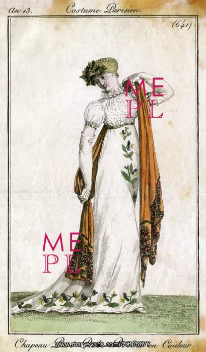 : Embroidered Gown 1805 : Embroidered Gown 1805