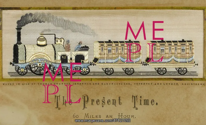 : Embroidered Train : Embroidered Train