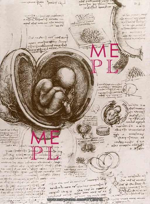 : Embryo in the Womb, by Leonardo da Vinci : Embryo in the Womb, by Leonardo da Vinci