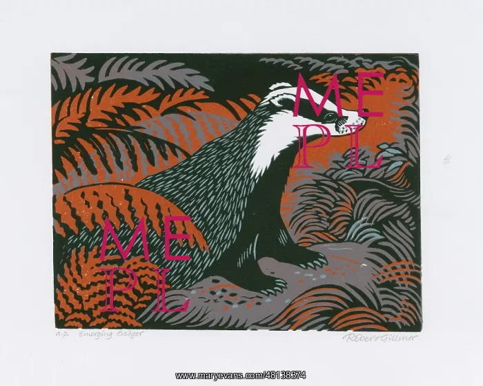 : Emerging Badger : Emerging Badger