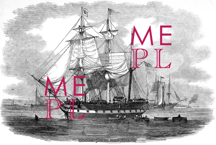 : The Emigrant Ship Artemisia, 1848 : The Emigrant Ship Artemisia, 1848