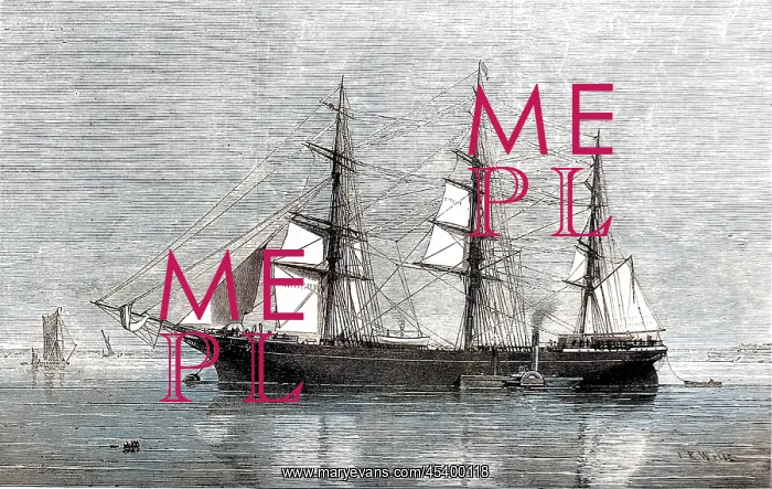 : The Emigrant Ship Eastern Monarch, 1874 : The Emigrant Ship Eastern Monarch, 1874