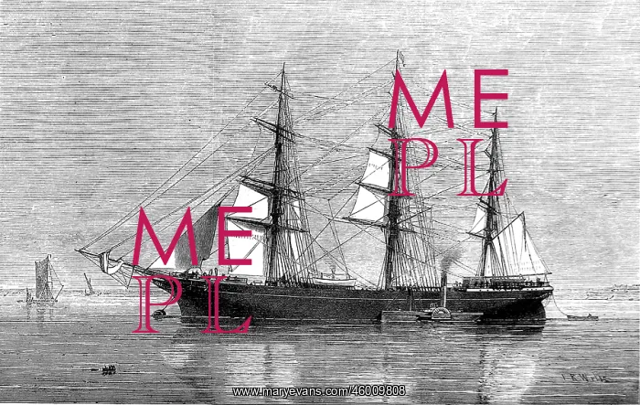 : The Emigrant Ship Eastern Monarch, 1874 : The Emigrant Ship Eastern Monarch, 1874