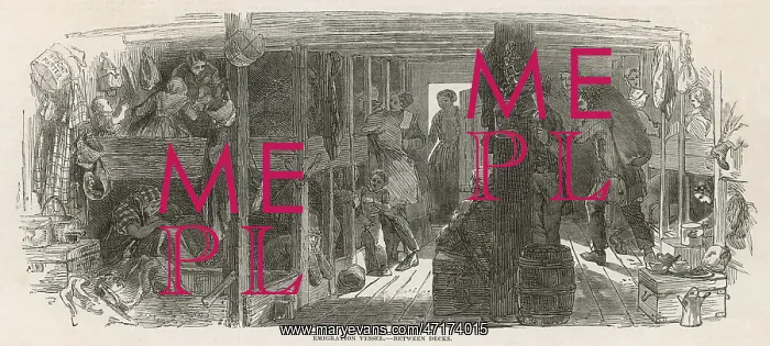: EMIGRANTS BELOW DECKS : EMIGRANTS BELOW DECKS