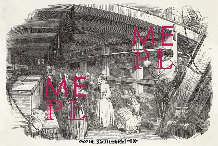  : EMIGRANTS BELOW DECKS
