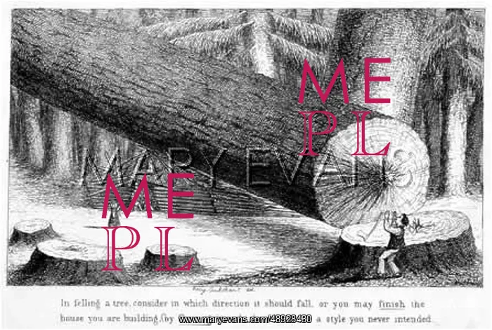  : EMIGRATION / FELLING TREE