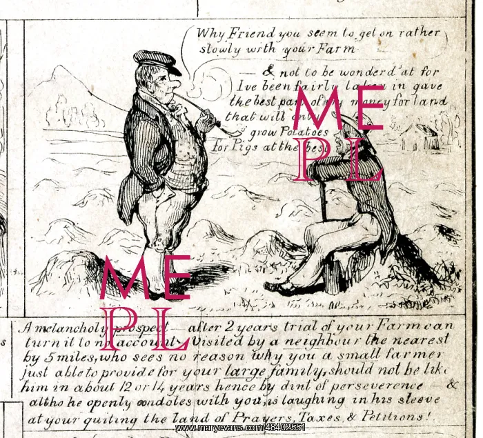  : Emigration - A melancholy prospect
