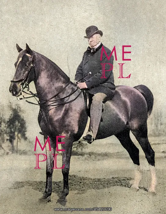 : EMILE DE GIRARDIN : EMILE DE GIRARDIN