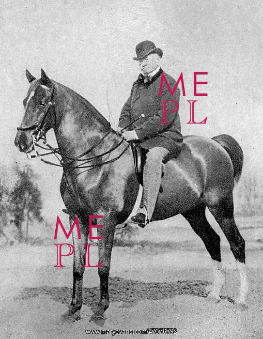 : EMILE DE GIRARDIN : EMILE DE GIRARDIN