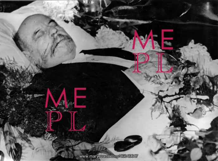 : Emile Vandervelde : Emile Vandervelde