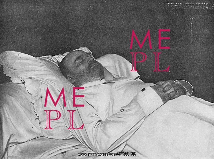  : EMILE ZOLA DEAD