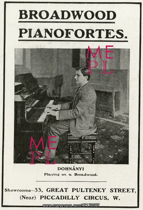  : EMO DOHNANYI / MUSICIAN