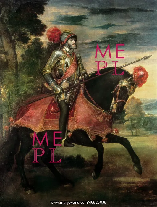 : Emperor Charles V on horseback : Emperor Charles V on horseback