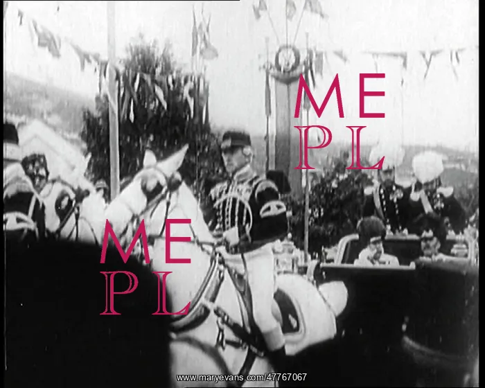 : Emperor Franz Josef I Being Driven Off In A : Emperor Franz Josef I Being Driven Off In A