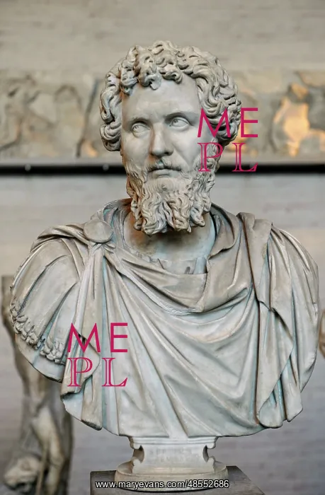 : Emperor Septemus Severus (193-211 AD). Bust : Emperor Septemus Severus (193-211 AD). Bust