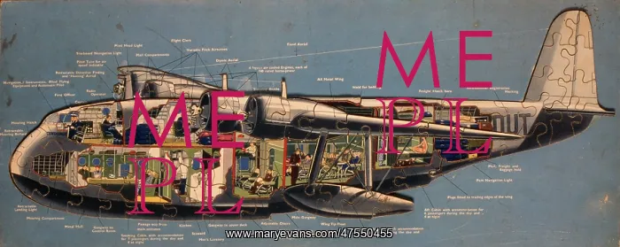 : Empire flying boat jigsaw : Empire flying boat jigsaw