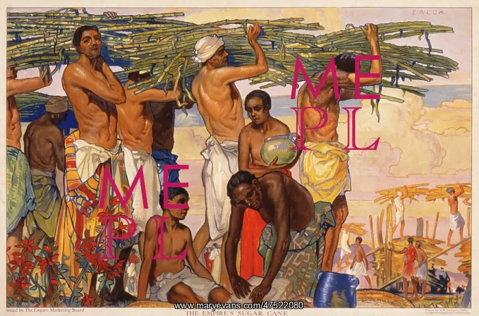: The Empire's sugar cane : The Empire's sugar cane