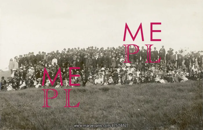  : The Emu Hill Picnic