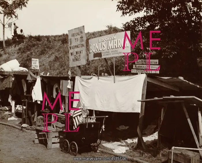 : Encampment shanties of Brooklyn veterans in the : Encampment shanties of Brooklyn veterans in the