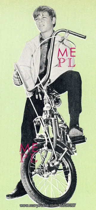 : Do It Yourself Encyclopedia 2 - boy on Raleigh Chopper'-sty : Do It Yourself Encyclopedia 2 - boy on Raleigh Chopper'-sty
