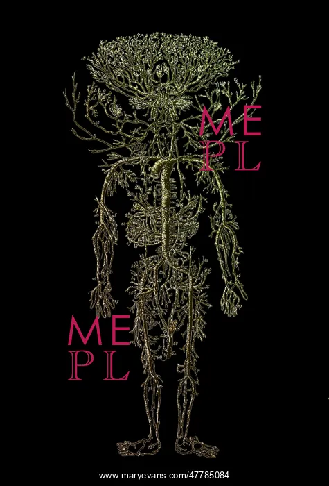 : Encyclopedie, Human Arterial System : Encyclopedie, Human Arterial System