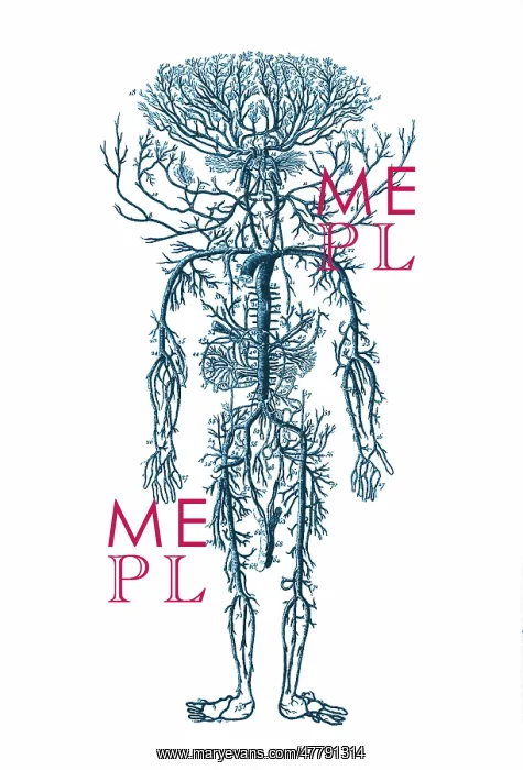 : Encyclopedie, Human Arterial System : Encyclopedie, Human Arterial System