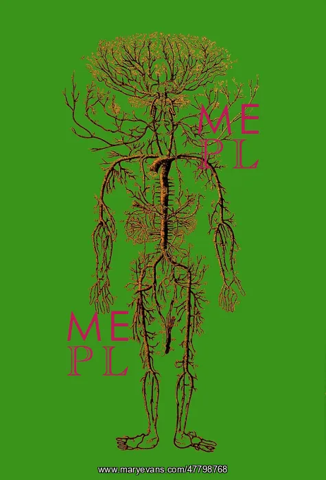 : Encyclopedie, Human Arterial System : Encyclopedie, Human Arterial System