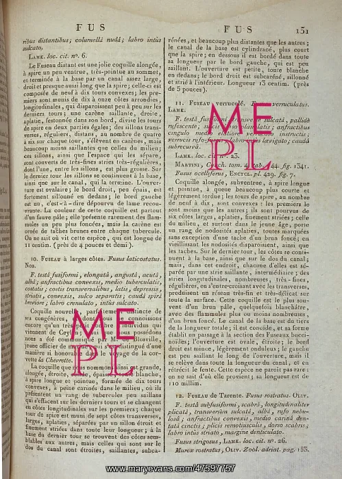 : Encyclopedie Methodique : Encyclopedie Methodique