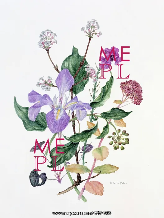 : The End of the Year? flower design : The End of the Year? flower design