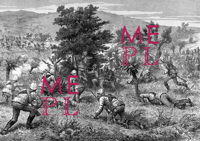 : The end of the Zulu wars : The end of the Zulu wars