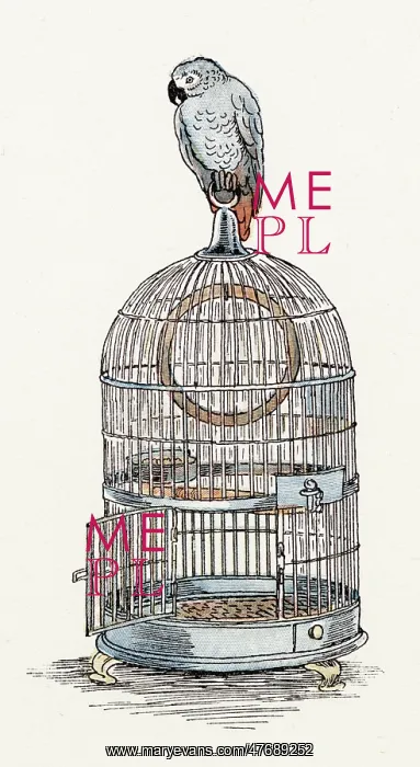 : Endpiece design, a parrot on top of a cage : Endpiece design, a parrot on top of a cage