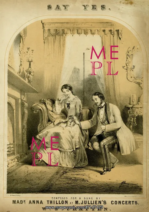: Engagement proposal : Engagement proposal