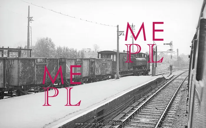: Engine with coal trucks : Engine with coal trucks