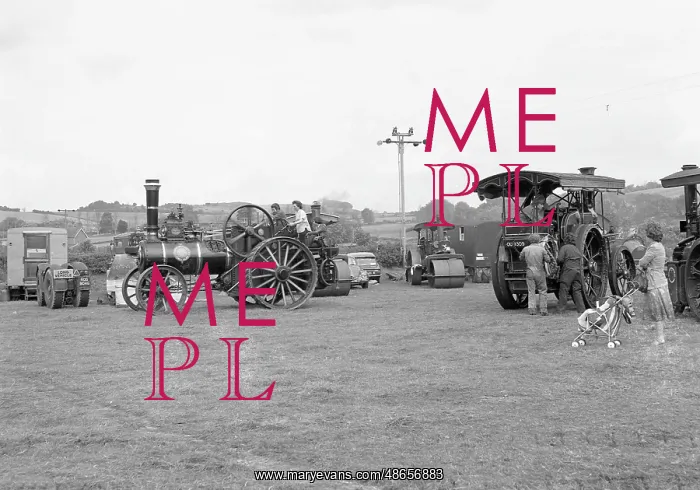 : The engine park at a Steam rally : The engine park at a Steam rally