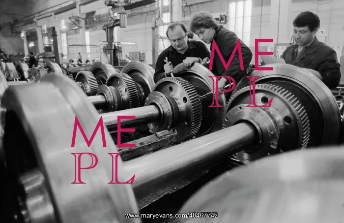 : Engineering plant : Engineering plant