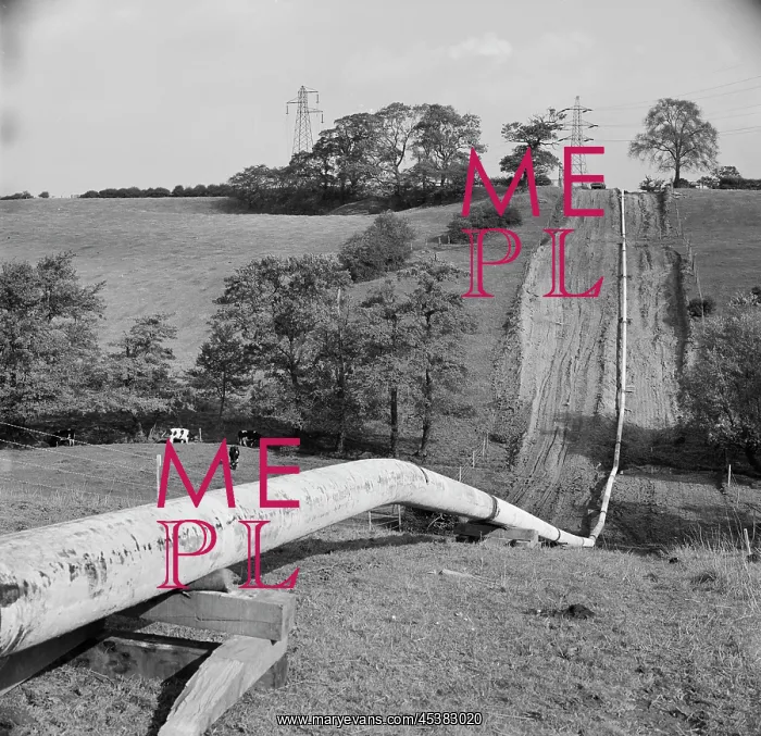 : England. A view along a stretch of the Mersey oil pipeline in rolling countryside : England. A view along a stretch of the Mersey oil pipeline in rolling countryside
