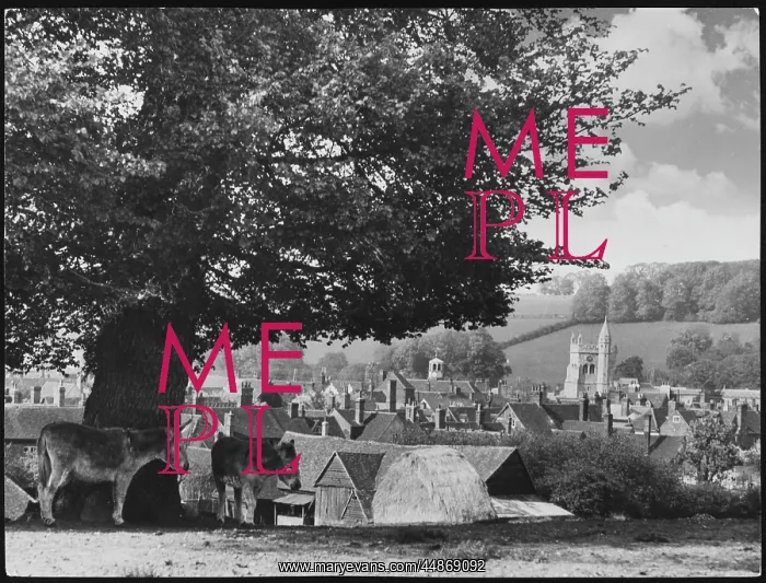 : ENGLAND / AMERSHAM : ENGLAND / AMERSHAM