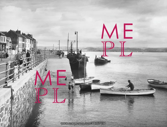 : ENGLAND / APPLEDORE : ENGLAND / APPLEDORE