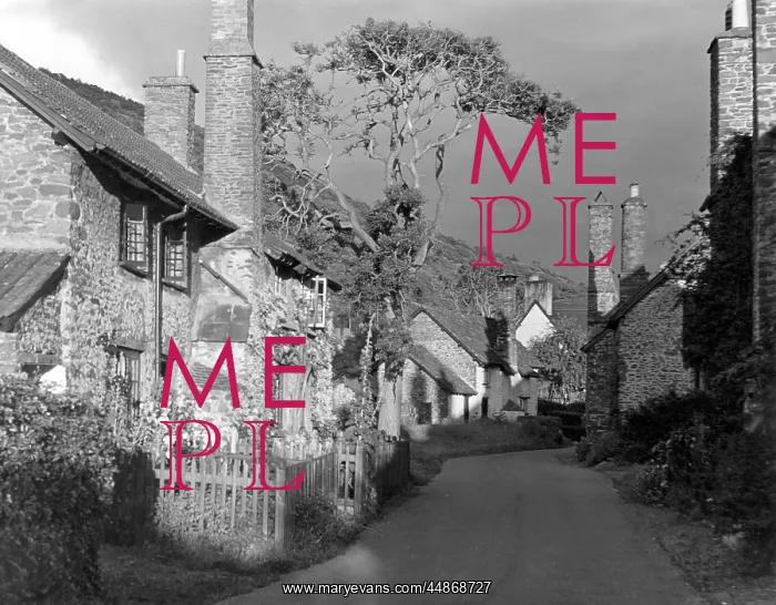 : ENGLAND / BOSSINGTON : ENGLAND / BOSSINGTON