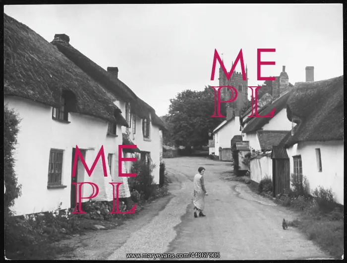 : ENGLAND / BROADHEMBURY : ENGLAND / BROADHEMBURY