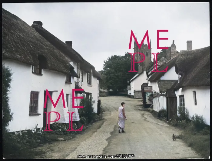 : ENGLAND / BROADHEMBURY : ENGLAND / BROADHEMBURY