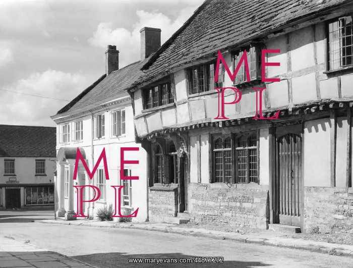 : ENGLAND / CERNE ABBAS : ENGLAND / CERNE ABBAS
