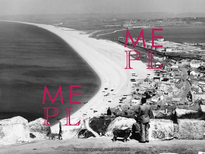 : ENGLAND / CHESIL BEACH : ENGLAND / CHESIL BEACH