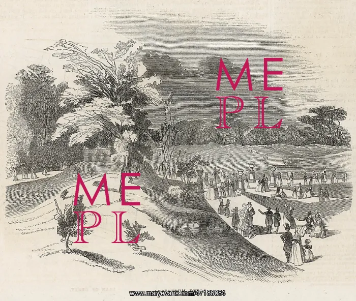  : ENGLAND / DERBY ARBORETUM
