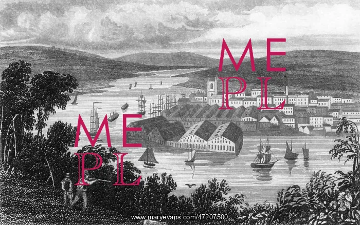  : ENGLAND / DEVONPORT