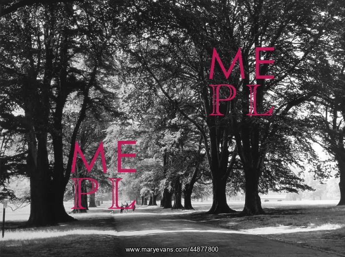 : ENGLAND / DUNHAM PARK : ENGLAND / DUNHAM PARK