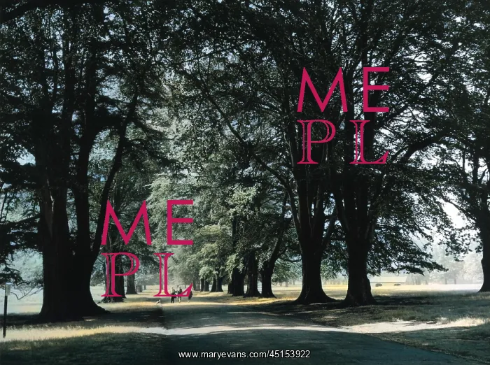 : ENGLAND / DUNHAM PARK : ENGLAND / DUNHAM PARK