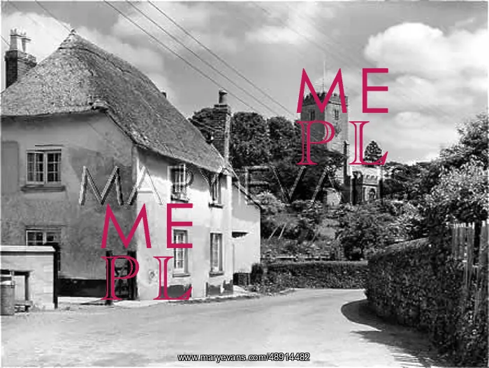 : ENGLAND / EAST BUDLEIGH : ENGLAND / EAST BUDLEIGH