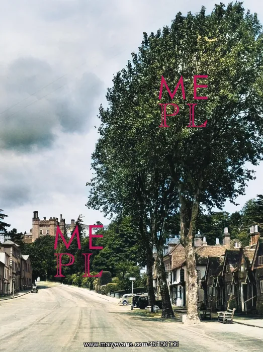 : ENGLAND / FARNHAM : ENGLAND / FARNHAM