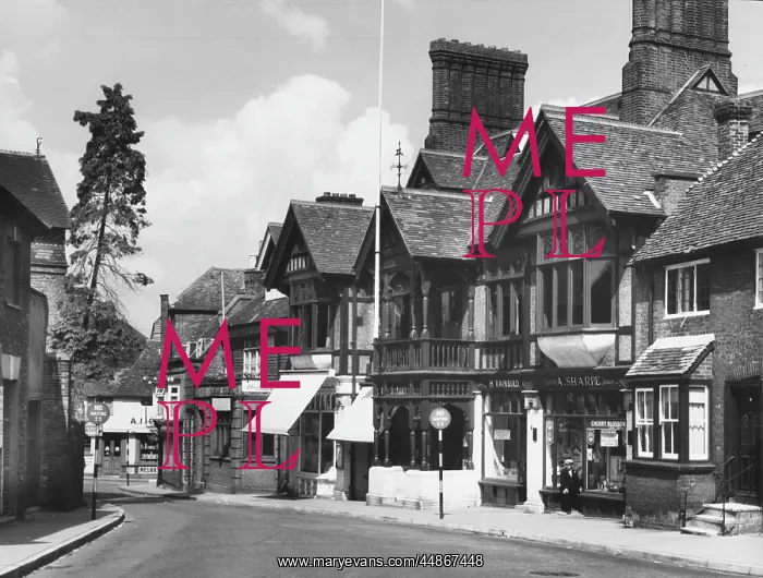 : ENGLAND / GODALMING 1950S : ENGLAND / GODALMING 1950S